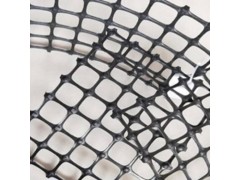 双向塑料土工格栅 土工格栅价格 山东环润厂家直销 随时发货图1