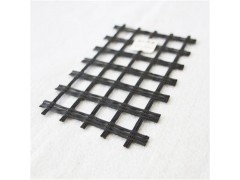 泰安土工格栅生产厂家 玻纤土工格栅价格 批发直销 现货供应图1