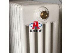 GZ508钢管五柱暖气片-防腐钢五柱散热器图1
