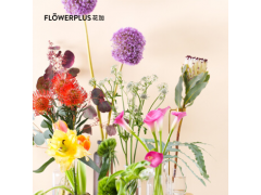 鲜花电商花加:数字时代的区块链+电商模式图1