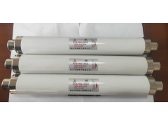 XRNT1-24/50-125A-50KA高压限流熔断器图1