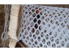 邦盾广西5mm白色纯料塑料养蜂网 塑料养殖网图1