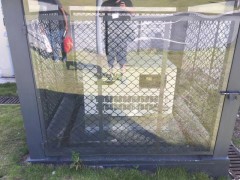 高原15KW柴油发电机价格图1