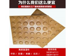 湖北盲道砖_湖北武汉市300盲道砖厂家图1