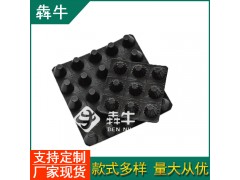 绿化花园排水板 空中花园排水板 价格透明图1