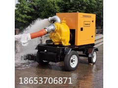 赢华12寸防汛排涝移动泵车 高吸程自吸排污泵大流量柴油排水泵图1