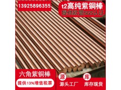 专业生产高导电 c1100红铜棒欧盟环保无氧铜棒图1