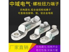 中域电气 BLMT-95/240平方铝合金线鼻子图1