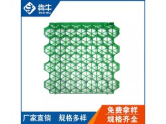 上饶市消防登高面绿化种植用植草格-犇牛厂家直销图1