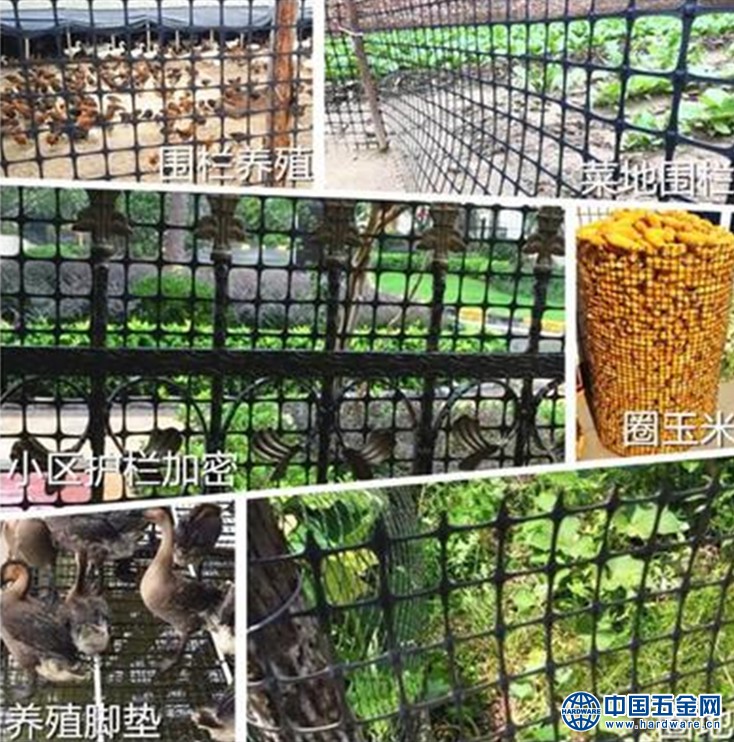 10478707585_182687609.400<em></em>x400_副本