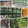 1.5米宽山坡养殖防护围栏网 2米宽圈苞米黑色塑料网格