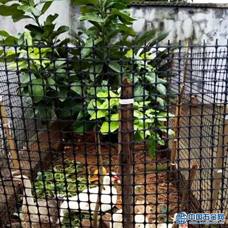 10505744899_182687609_副本