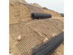 连云港 家用黑色塑料网塑料土工格栅 2米宽黑色方格网图1