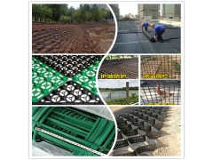 彭州河道治理防止水土流失蜂巢约束系统 护坡固土土工网格图1