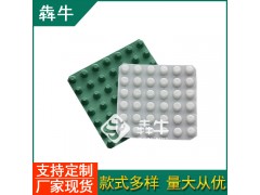 湛江市2公分厚防潮排水板价格透明图1