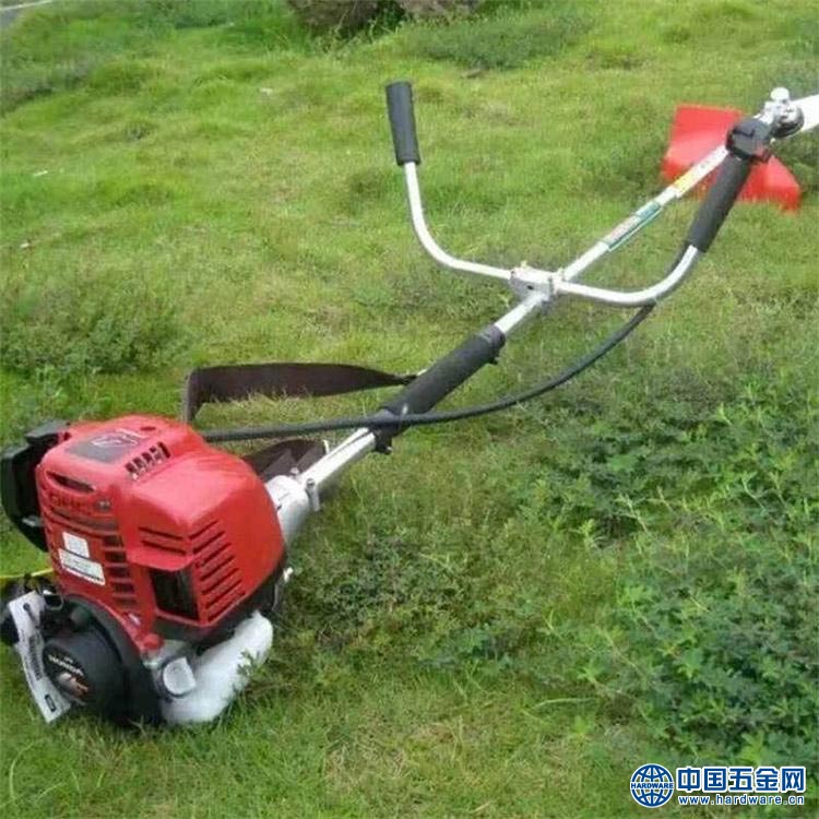 ada5e380f91532c7591529d081c0d433_u=2074716496,2104277419&fm=199&app=68&f=JPEG_w=750&h=750&s=310A0EF8C63BE7C610BDB7320300D055