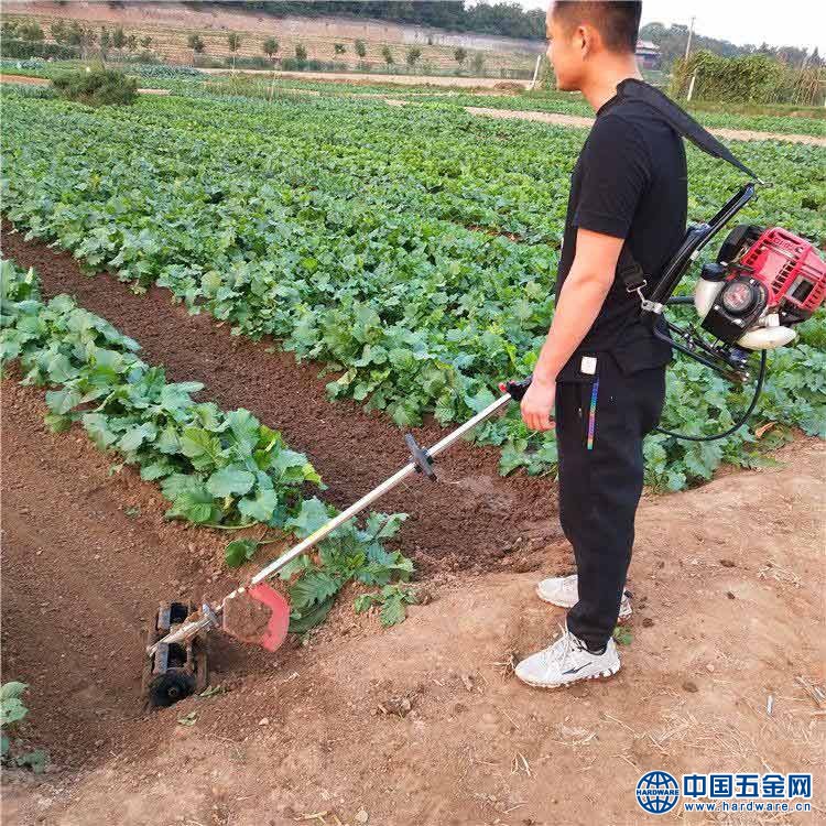 0c6dbe513729dd87e9f836db99a2d5b5_u=3824046925,2199820405&fm=199&app=68&f=JPEG_w=750&h=750&s=298062D956E3C6EE142DE6280300D056