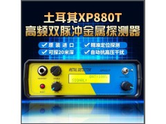 土耳其原装高频XP800T双脉冲探测仪器实惠好用图1