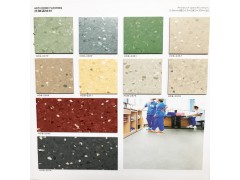 华邦品牌海德堡通体卷材胶地板抗碘耐磨同质透心pvc塑胶地板图1