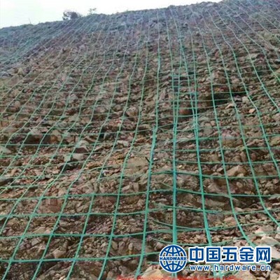 3959192028_1827494940_副本