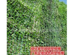 油麻藤生长植物爬藤网 12*12孔径绿色植物生长攀爬网格图1