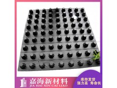 南京花园排水板 hdpe排水板生产厂家 嘉海实业图1