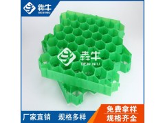 防城港市40厚停车场塑料草坪格消防通道免费咨询图1