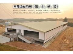 养猪场防风卷帘布、羊舍窗帘布、牛棚卷帘布 家禽养殖业图1