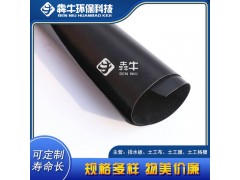 毕节市两布一膜人工湖防渗复合土工膜图1