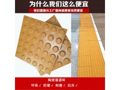 浙江省众光盲道砖厂家供应400×400盲条盲点图1