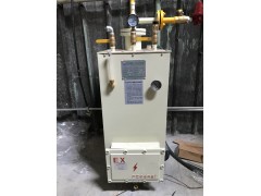 电热式气化器50KG壁挂式气化炉30KG气化器图1