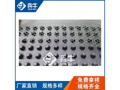 常德市-高密度聚乙烯排水板-型号齐全图1