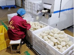 酸辣粉加工设备升级工艺速食粉丝加工机生产过程不需要明矾图1