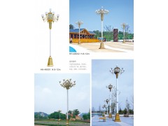 高档住宅区新款8米玉兰灯 四川高杆路灯厂家图3