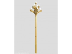 高档住宅区新款8米玉兰灯 四川高杆路灯厂家图4