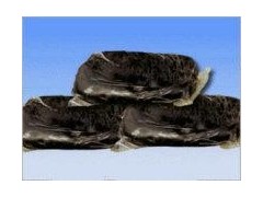 西安LYMFB-II型煤矿电气电缆防爆密封胶泥图4