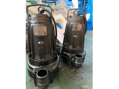 蓝深增强型潜污泵AS10-2CB图1