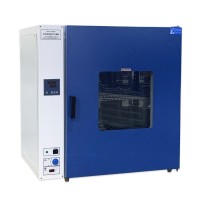 国产新款数显恒温鼓风干燥箱DHG-9203A