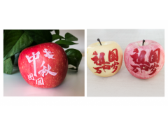 供应食品级油墨圣诞果/平安果印字可食用油墨打造精品水果图5