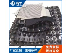 赣州市小区绿化种植蓄排水板图2