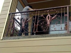 庭院铝艺铁艺大门 铝艺铁艺围栏栏杆图3