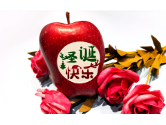 苹果印字油墨,科亿华可以吃的苹果印字机专用移印油墨图4