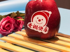 苹果印字油墨,科亿华可以吃的苹果印字机专用移印油墨图5