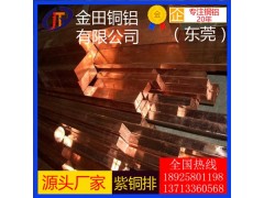 t1紫铜排，t2国标大直径紫铜排/t5耐磨损紫铜排图1