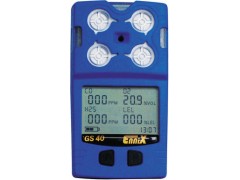 恩尼克思GS10硫化氢气体检测仪图1