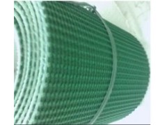 浙江绿色挡板输送带图4