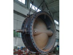 专业蝶阀维修图4