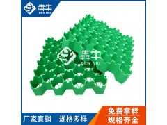 防城港市小区绿化种草植草格型号齐全图2