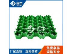 防城港市小区绿化种草植草格型号齐全图1