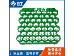 防城港市小区绿化种草植草格型号齐全图3